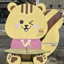 수원역로데오거리 이미지