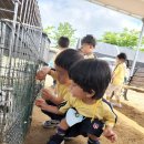 플레이그라운드어린이집 이미지