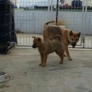 상은농장 이미지