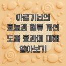 신장동로 연장도로 | 아르기닌의 효능과 혈류 개선 도움 효과에 대해 알아보기