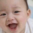 제리 이