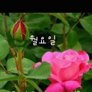 세계서화가협회