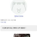 아빠의나무민박 이미지