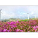 덕진목장 이미지