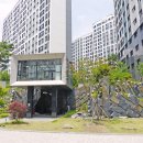 수조경 이미지