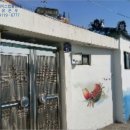 중앙동229 이미지