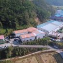 신아씨웰 이미지