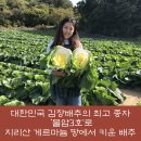 금반농장 이미지