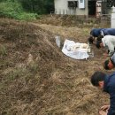 노당주유소 이미지