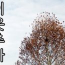 웰스포사우나 이미지