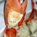 신화수산 네이버블로그