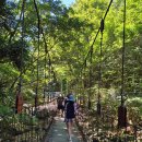 물한계곡뜨락펜션 이미지