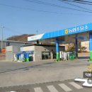 양성농협 주유소 이미지
