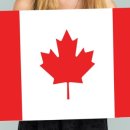 아카데미치과기공소 이미지