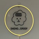 구영 고양이 무마취 미용 | 청주 무마취 고양이 미용 후기｜11살 노령묘 첫 미용, 댕그루프