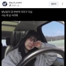 교촌치킨호원 | 일상 : 벚꽃과 함께 등장