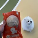 페츠베리머치 카페 이미지