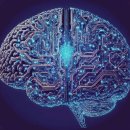 (주)바이온 | [바이오기업] 화학단백질체학 기술 기반 AI 신약 개발 기업 바이온사이트 국내 특허 동향