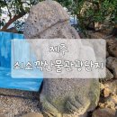 산물 | [제주] 쇠소깍 산물관광농원 제주투어패스로 무료입장! 사진찍기 좋은곳 꿀팁 가득 완벽 후기