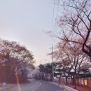 풍경무인텔 이미지