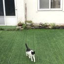 선흘 언니네 이미지