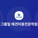 그룸빌잠실롯데월드점애견미용전문학원 네이버블로그