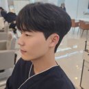 댄디라인