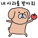 네일콕콕