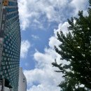 부산도시공사 아르피나(수영장) | 부산 자유수영 센츄리빌딩 스포렉스 토요일가격 오리발가능 내돈내산