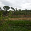 DS 태양광발전소 이미지