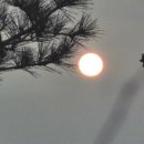 일출상사 이미지