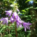 하산 농장 이미지