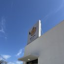 사슴이랑 배랑 농원 | [ 양양 배배 젤라또 ] 양양 젤라또 &amp; 소르베 맛집ㅣ소금우유 젤라또 + 배배 소르베 후기 ㅣ 일요일 방문기