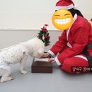 (주)아이지디 이미지