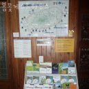 제주게스트하우스봄꽃 이미지