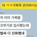 픽시드 이미지