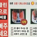 리얼프랜드 이미지