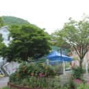 숲속의산책 펜션 이미지