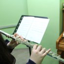 플룻 (고급) 이미지