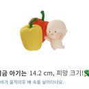 최미영건강 | 임신일기 (17주~18주) /분당제일 분당차 성남 더미즈 비교