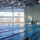 현대 코비스 이미지