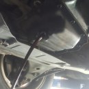 설카센타 이미지