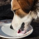 24시 산들산들 동물병원 이미지