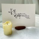 그린나래(주) 이미지