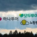위드여행사