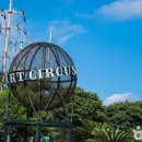 제주아트 서커스 이미지