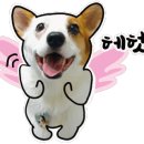 지주 헤어 살롱 이미지