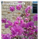 용봉원 이미지
