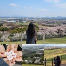 한우목장 | 충남 가볼만한곳 서산한우목장 웰빙산책로 방문 후기