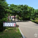 함허동천 시범야영장 이미지